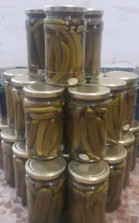 خیارشور درجه ۱