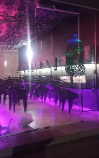 گیمنت صفر تا 100