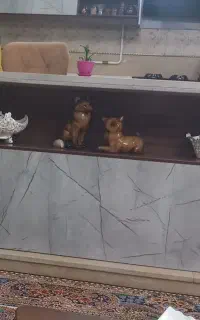 کابینت جزیره متحرک اشپزخانه