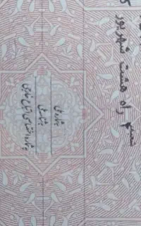 چک صیادی و ثبتی