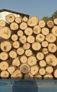 چوب باغی