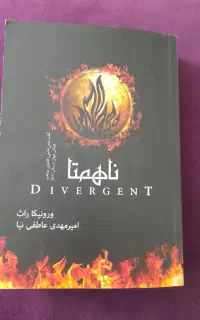 مجموعه رومان ناهمتا