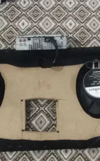 باند مکث باس