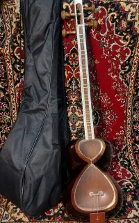 تار مهر