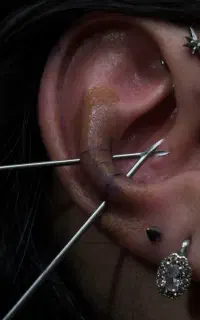 آف ۵۰ درصدی اجرا و اموزش مستقل شو