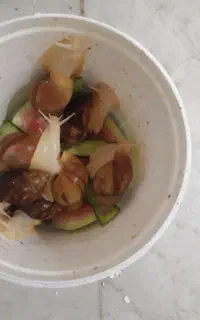 7حلزون روبه تخم گذاری باباکس وخاک ووسایل750تک میشه