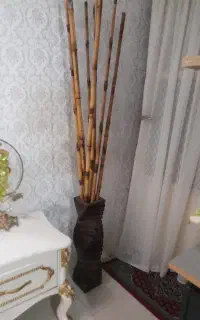گلدان کنارسالنی