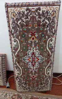 ۲ جفت پشتی