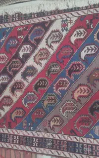 ورنی پشم