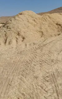 کاه نخود