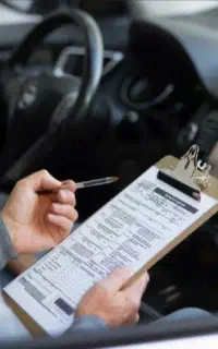 کارتکس