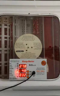 دستگاه جوجه کشی