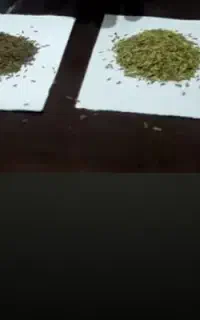 درخواست شریک کسب و کار