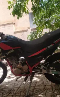 موتور تریل ۲۵۰کویر T۲مدل ۱۴۰۱