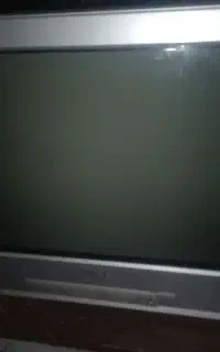 تلوزیون
