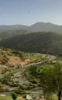 نیازمند دامدار با حداکثر ۱۰۰ راس دام