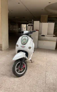 موتور برقی ES2 1500W کویر