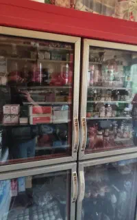 یخچال ایستاده شش در