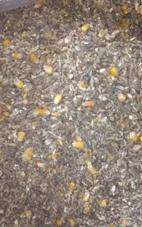 خوراک آجیلی