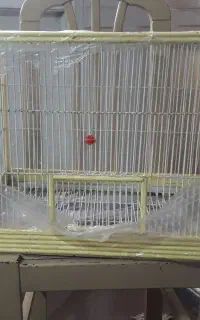 قفس قناری