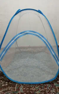 پشه بند