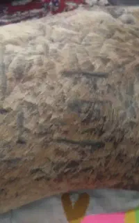 خیگ روغنی