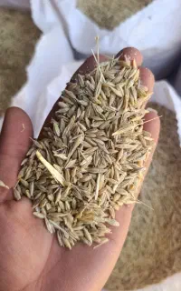 فروش جو