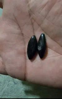 مهره اصل اصل