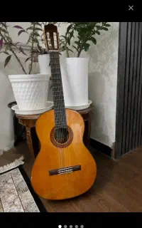 گیتارفروش