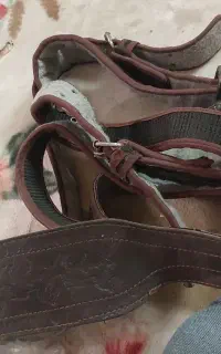 کمر علامت