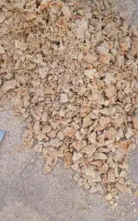 نان خشک