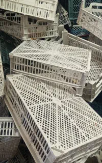 فروش جعبه میوه