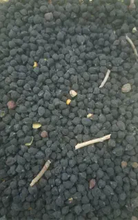 نخود سیاه(لپه)