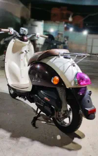 پاکشتی وینو