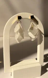اکسسوری بدلیجات شیک