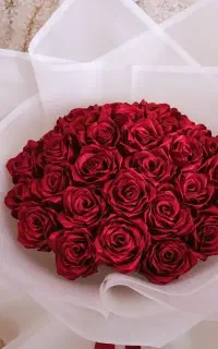 گل رز روبانی قیمت مناسب