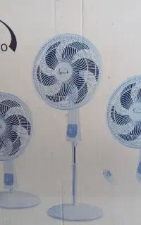 پنکه
