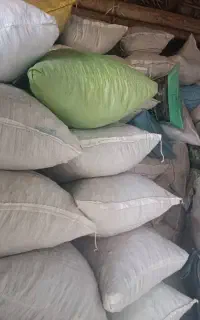 فروش نان خشک