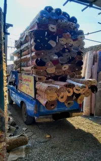 قالیشویی پنجه طلا