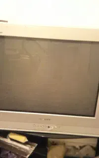 تلوزیون ۲۱ اینج