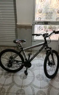 دوچرخه اساک