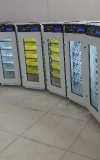 دستگاه جوجه کشی درب سبــکorginal