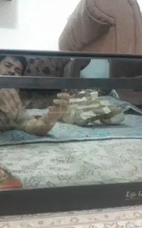 ماکروفر  تمام  لمس  LG