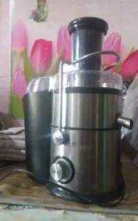 آبمیوه گیری پارادیس