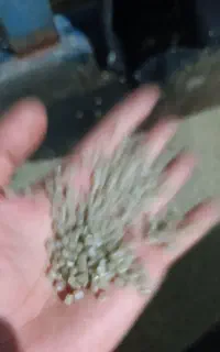 گرانول نایلون هاش