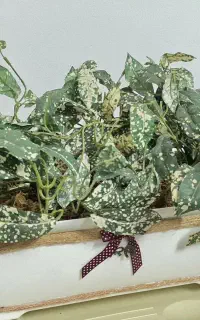 ۱۰۰۰۰۰تومان