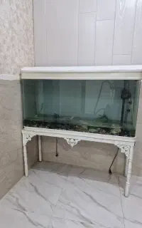 فروش اکواریوم  شرکتی با تجهیزات