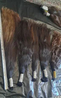 فروش موی رنگ شده