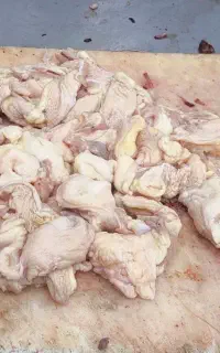 چربی مرغ شمال