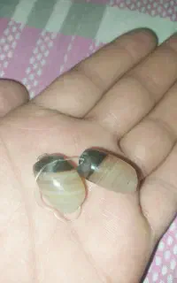 دوستان زنگ بزنید